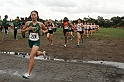 2010NCSXC GD2-2233